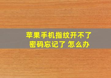 苹果手机指纹开不了 密码忘记了 怎么办